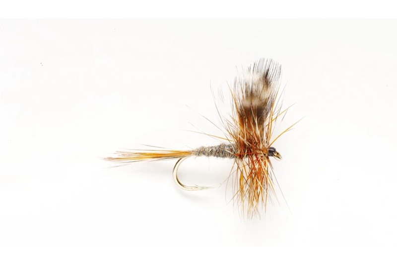 Adams fly pattern