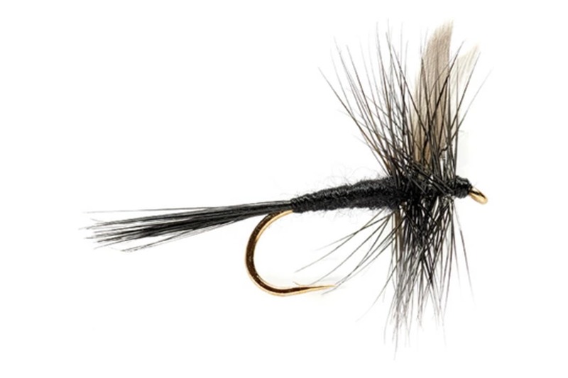 Black Spider fly pattern