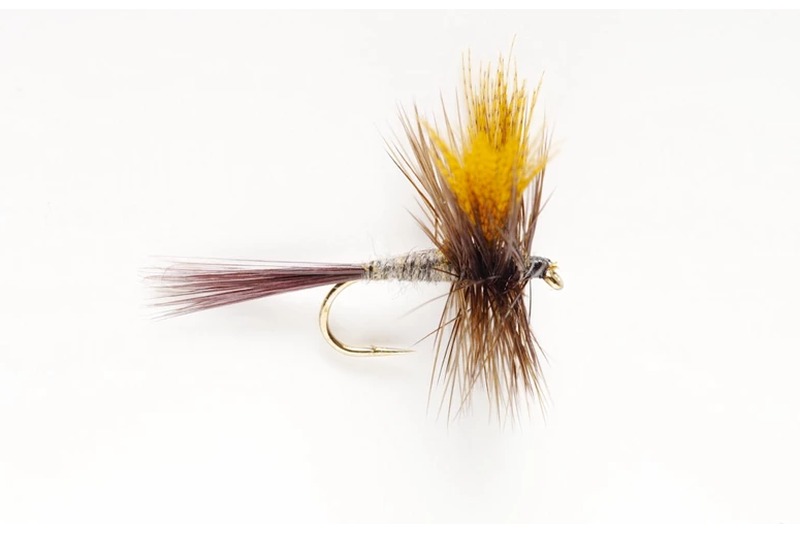Blue Dun fly pattern