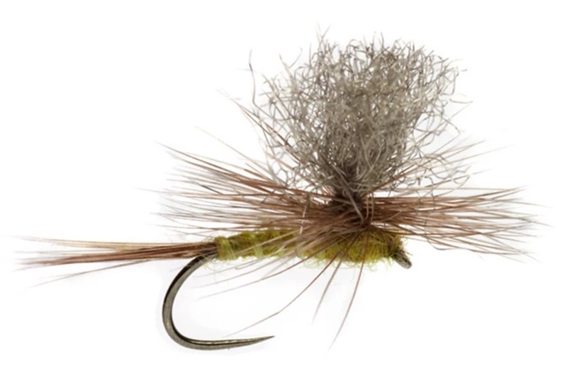 Blue-Winged Olive Comparadun fly pattern