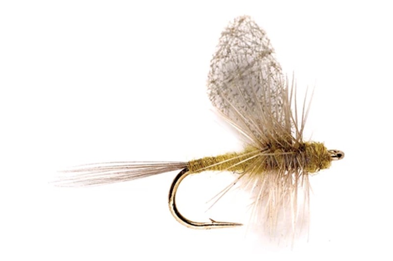 BWO Loop Wing Emerger fly pattern