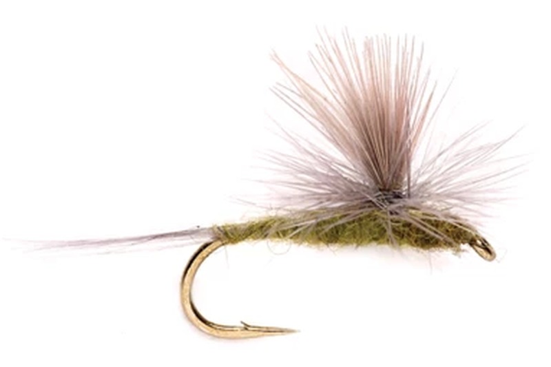 BWO Parachute fly pattern