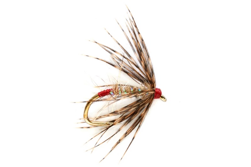 Carey Special fly pattern
