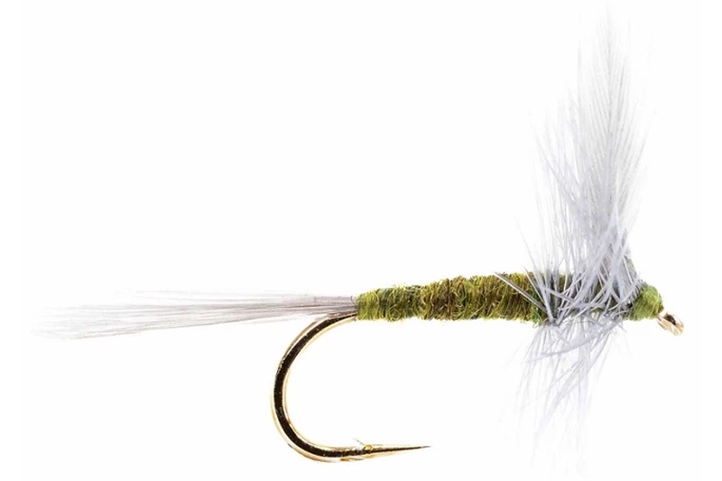 CDC Blue-Winged Olive fly pattern