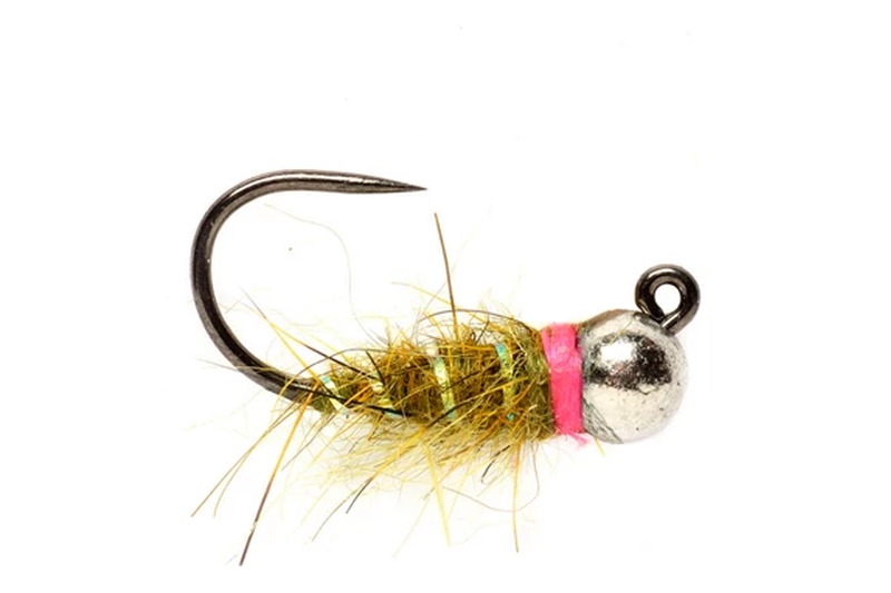 Czech Nymph fly pattern
