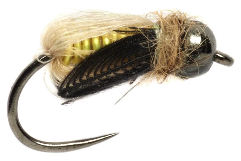 Emerging Caddis Pupa fly pattern