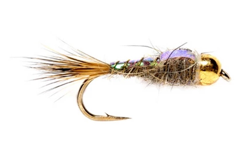 Flashback Hare's Ear fly pattern