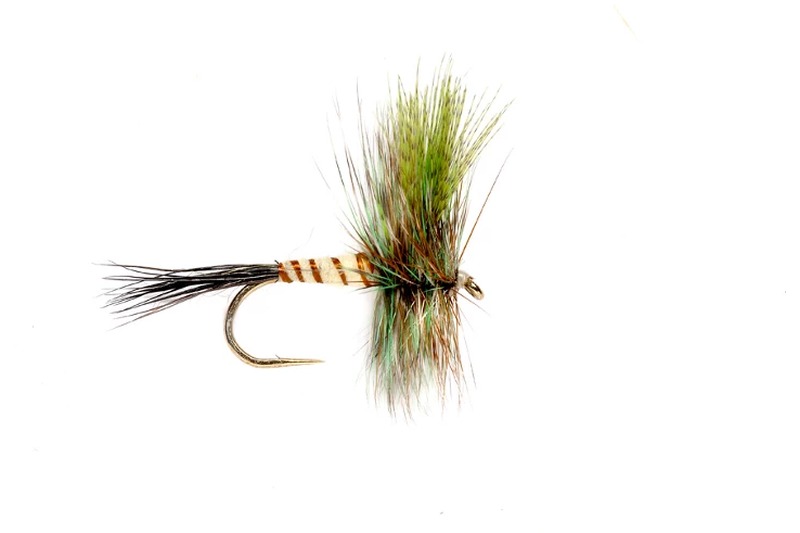 Green Drake fly pattern