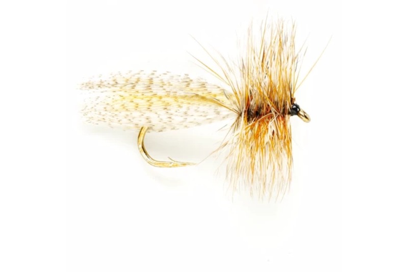 Leadwing Coachman fly pattern