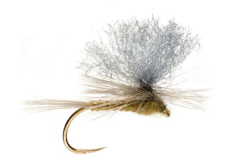 Pale Morning Dun fly pattern