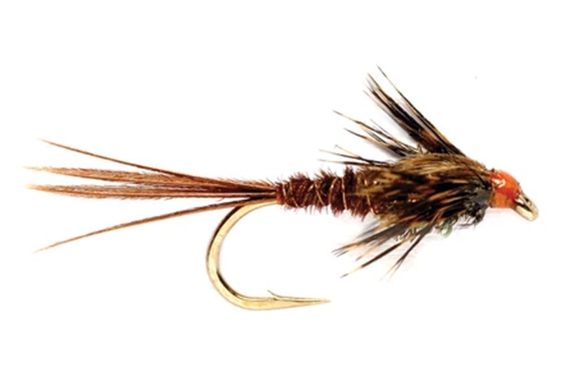 Pheasant Tail Nymph fly pattern