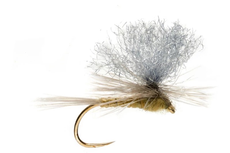PMD Emerger fly pattern