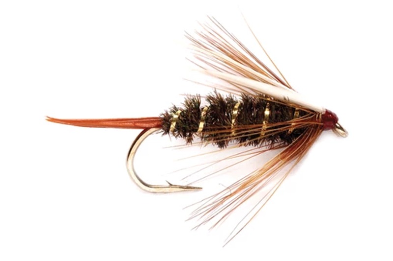 Prince Nymph fly pattern