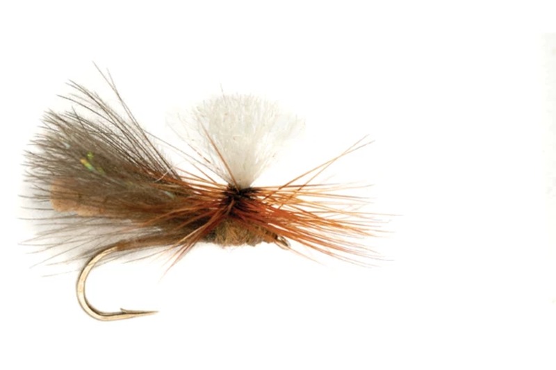 Quigley Cripple fly pattern