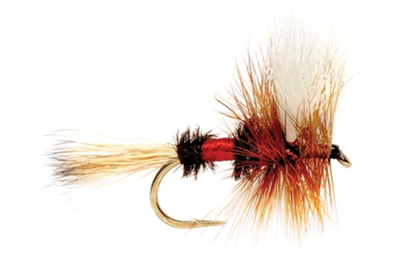 Royal Wulff fly pattern