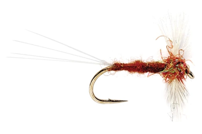 Rusty Spinner fly pattern