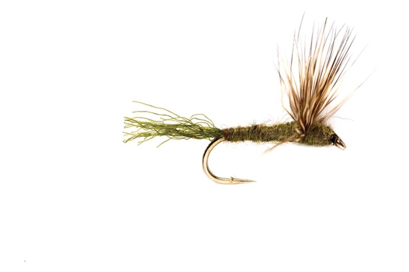 Sparkle Dun fly pattern