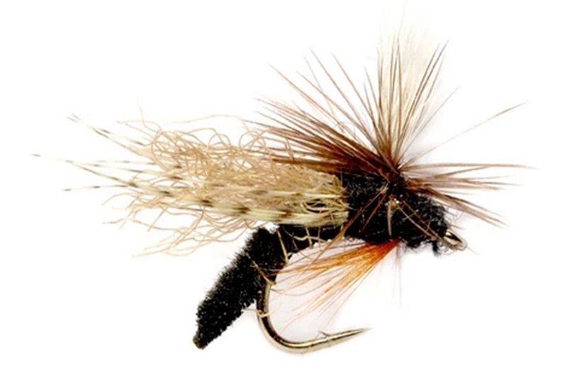 Spotlight Emerger fly pattern