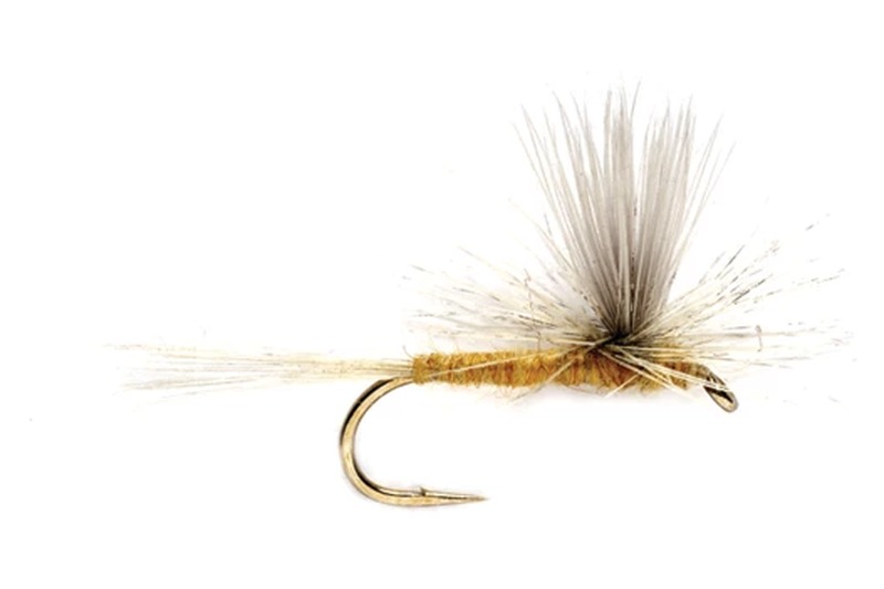 Sulphur Dun fly pattern