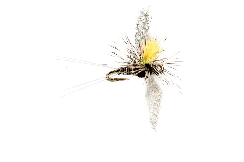 Trico Spinner fly pattern