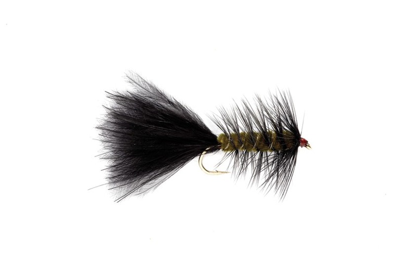 Woolly Bugger fly pattern