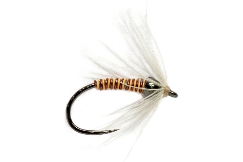 Woolly Worm fly pattern