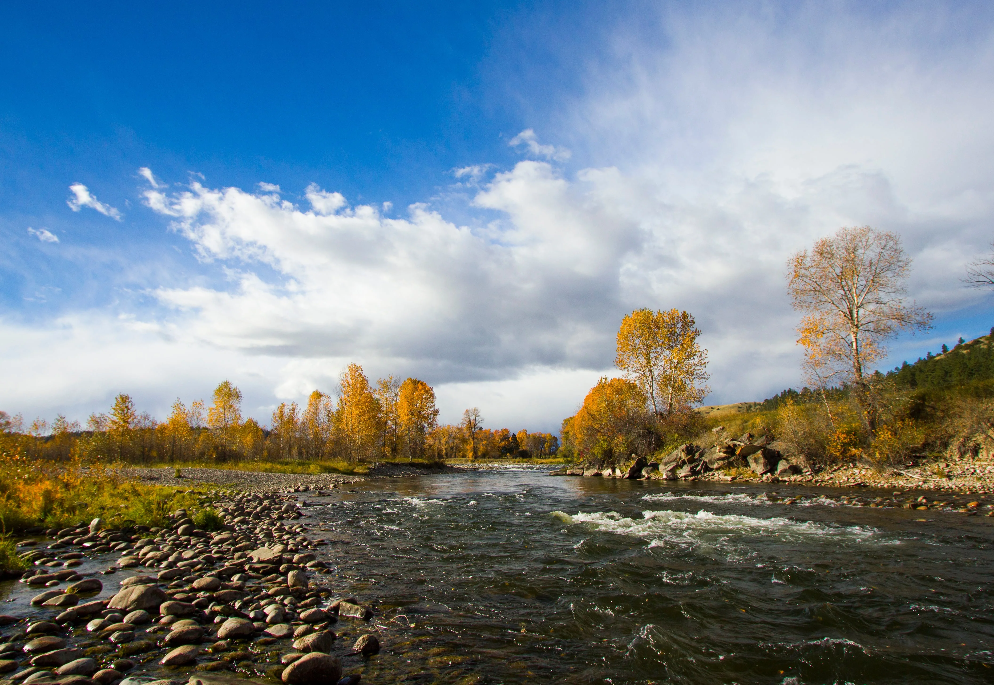 Beaverhead River