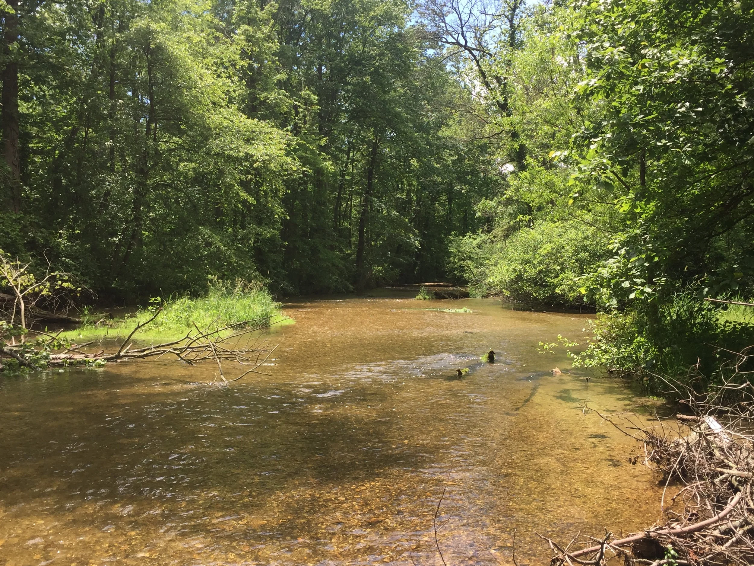 Yellow Breeches Creek